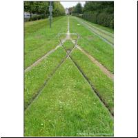 2025-07-30 T Hautes Promenades 02.jpg